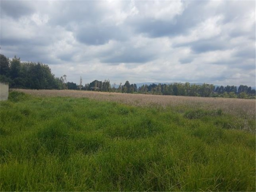 Lote en venta en Siberia, Cota, Cundinamarca