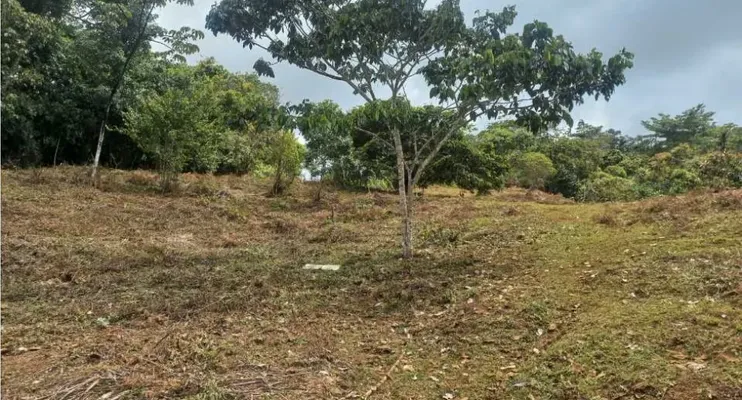 Lote en venta 10000m²