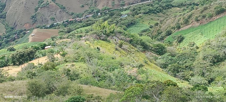 Lote en venta 3000m²